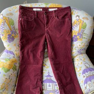 Pilcro and Letterpress Corduroy Pants  Size 29